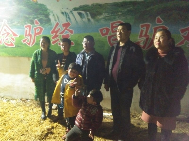 毛驴100斤