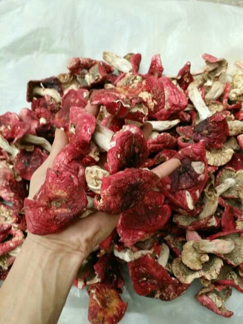 湖北红菇大红菌干货野生菌干品