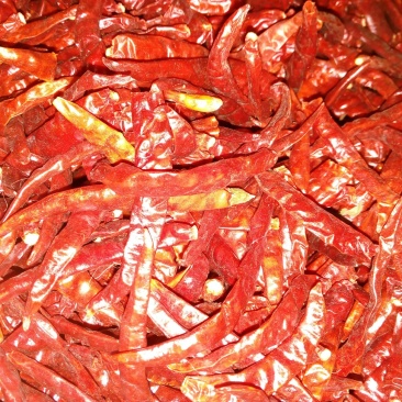 干辣椒精品9成干以上