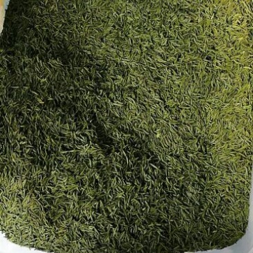 川茶特级