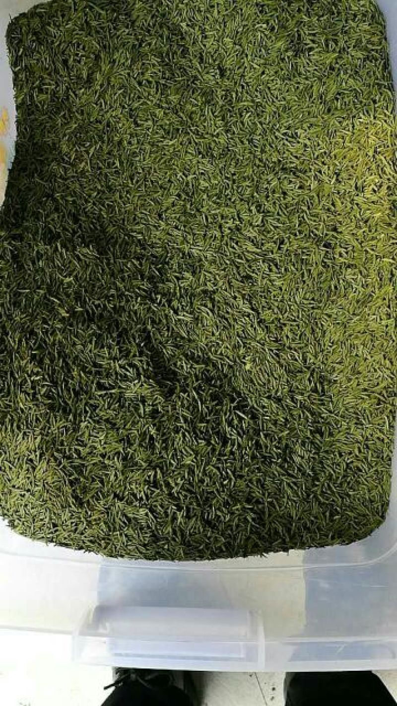 川茶特级