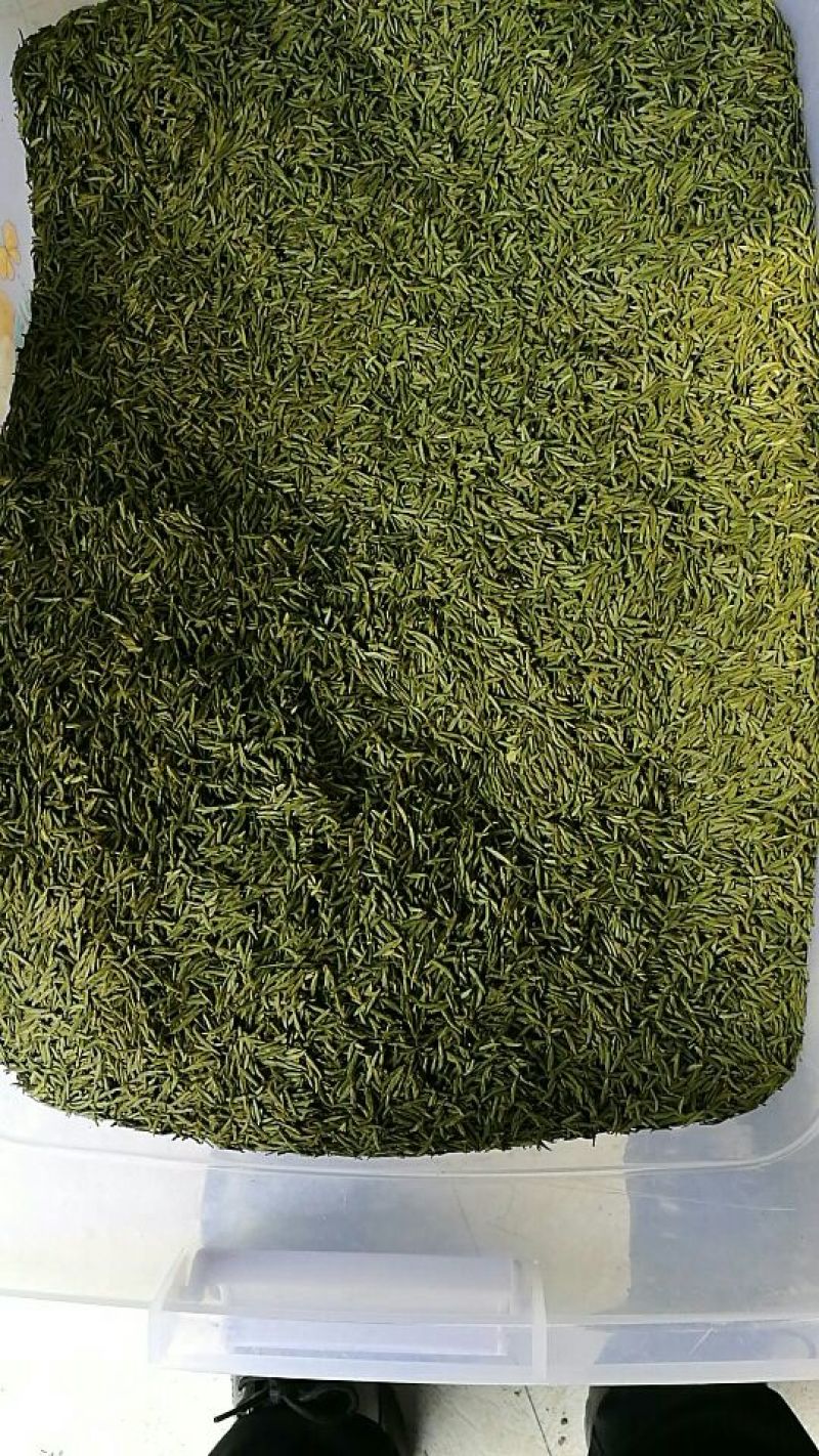 川茶特级