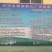朗德鹅苗250g以上