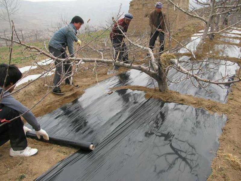 地膜黑地膜白地膜银灰膜