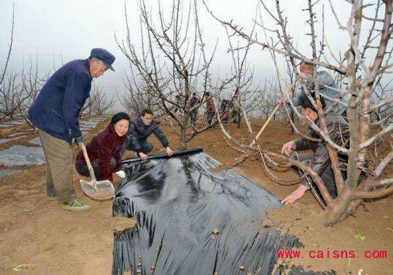 地膜黑地膜白地膜银灰膜