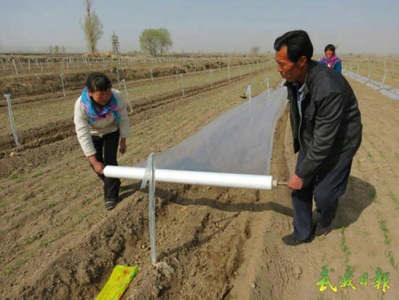 地膜白地膜农用地膜瓜果蔬菜专用膜