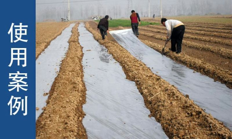 地膜白地膜农用地膜瓜果蔬菜专用膜