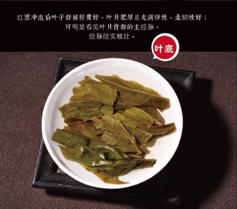 普洱绿茶
