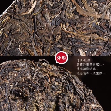 普洱绿茶