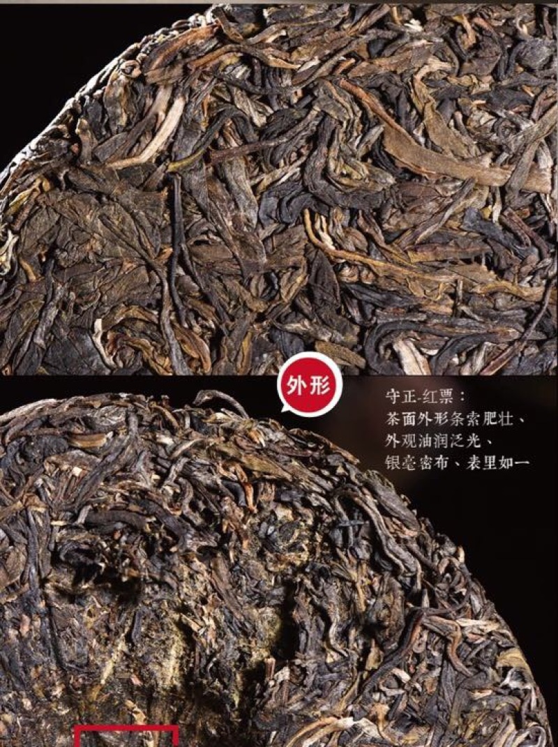 普洱绿茶