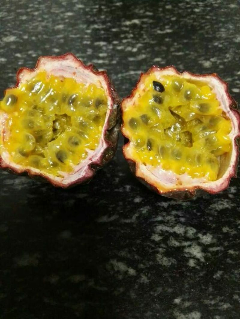 百香果紫香一号百香果