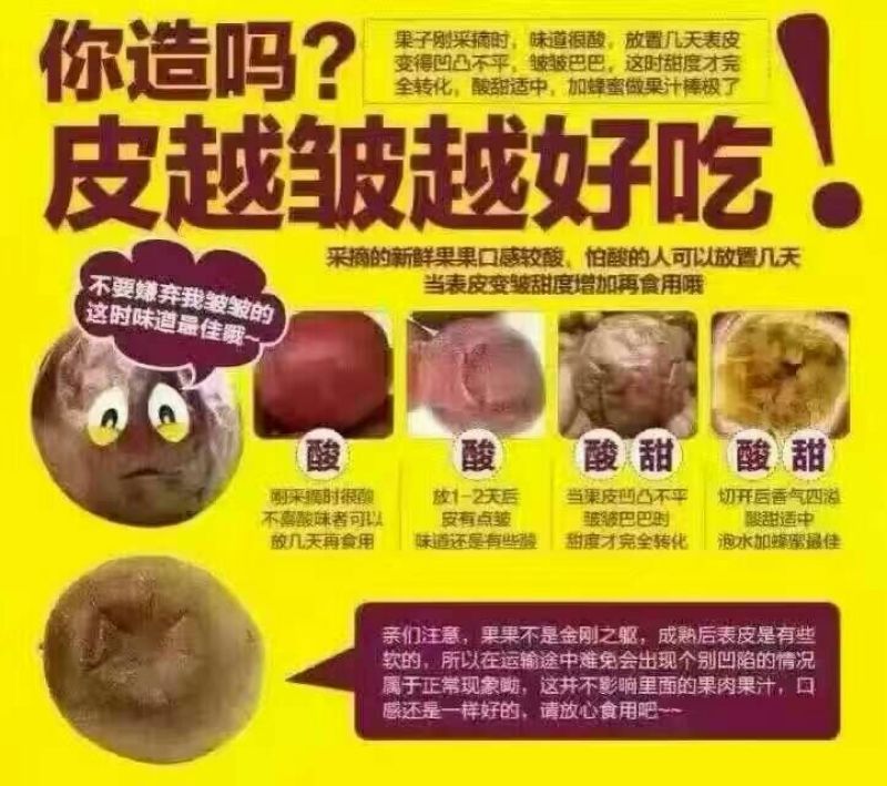 百香果紫香一号百香果