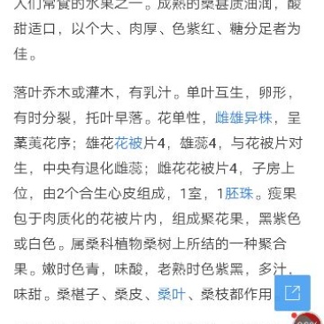 桑葚干