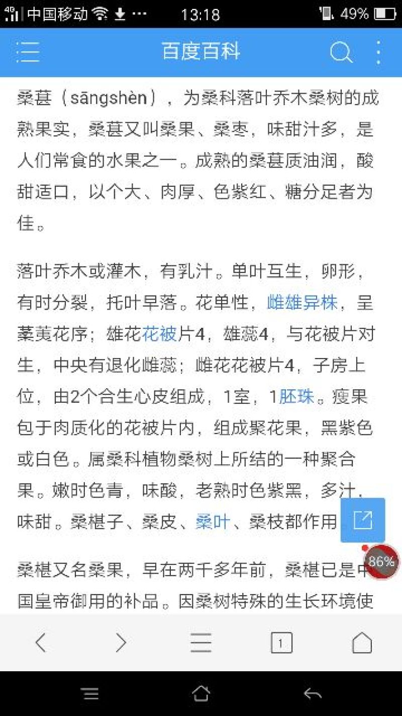 桑葚干