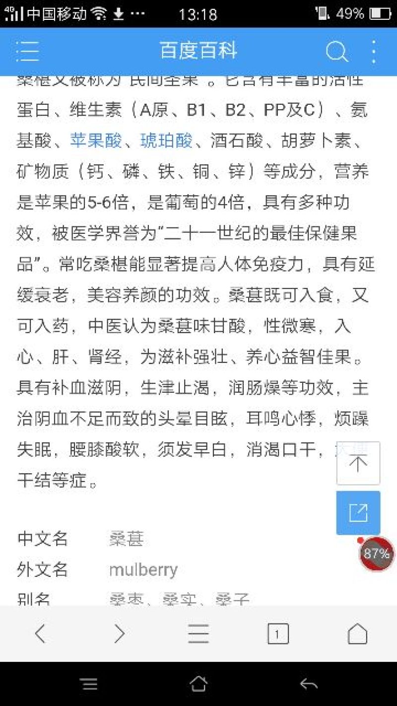 桑葚干