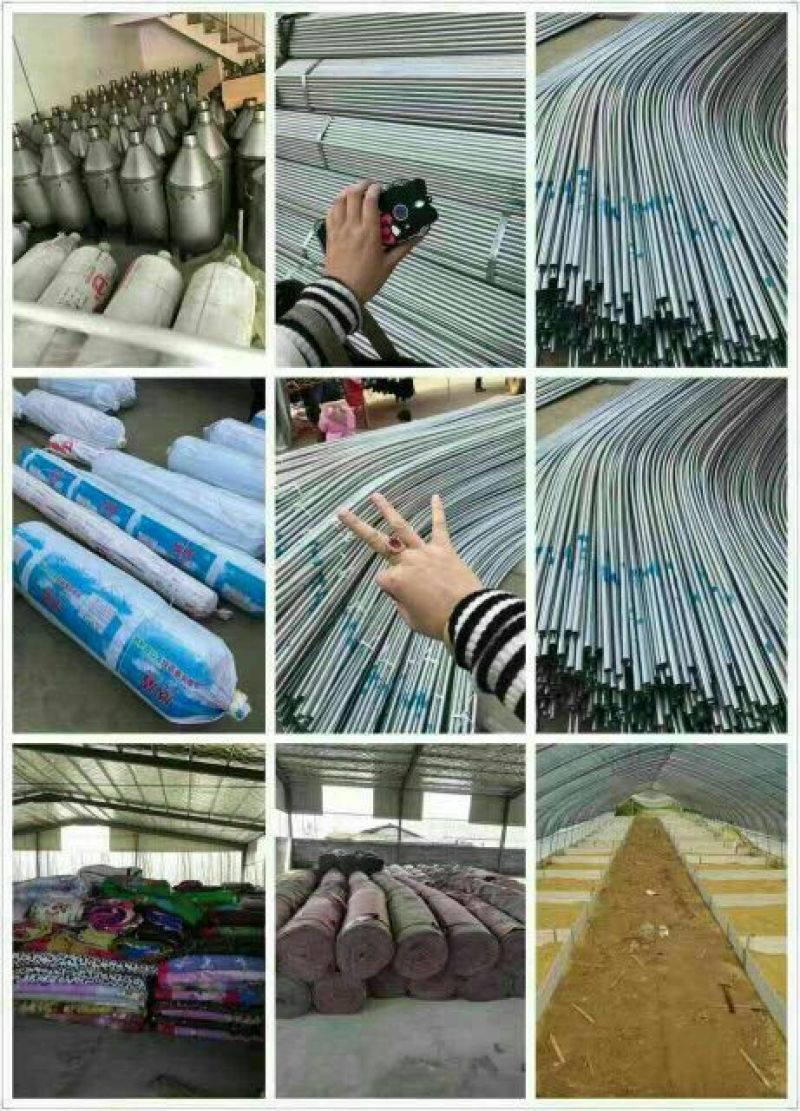 鹅苗250g以下