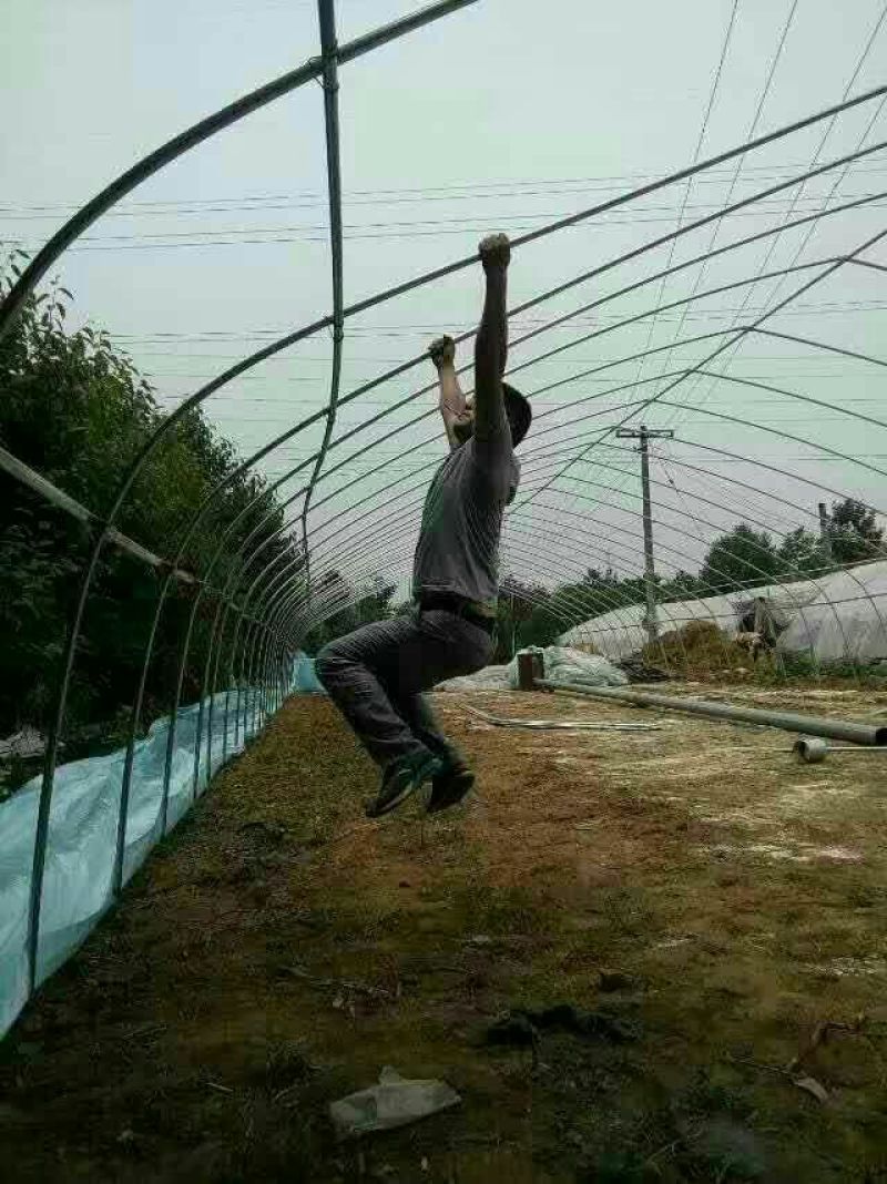 鹅苗250g以下