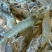 基围虾食用活虾