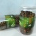 刺五加茶二级