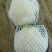 菜花1斤紧密乳白精品，物美价廉，欢迎选购