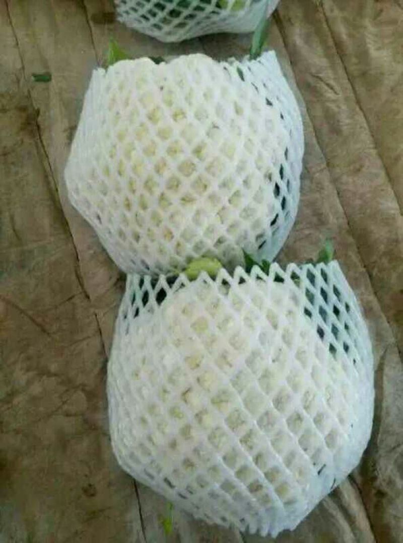 菜花1斤紧密乳白精品，物美价廉，欢迎选购