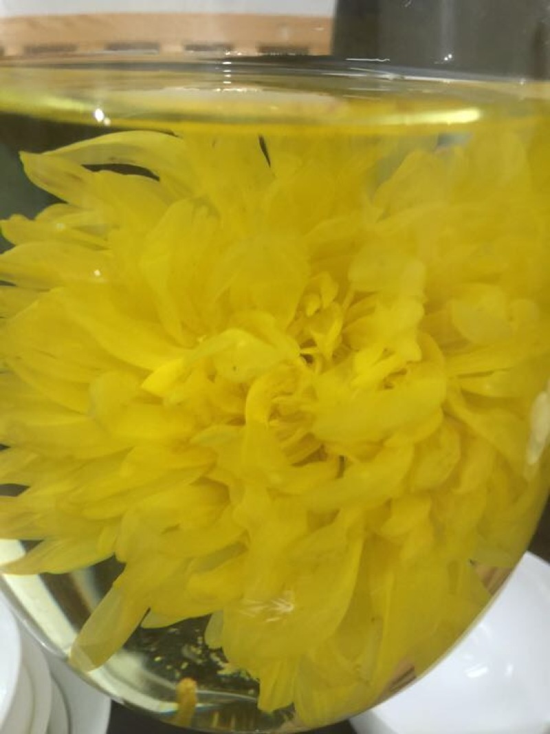 菊花茶