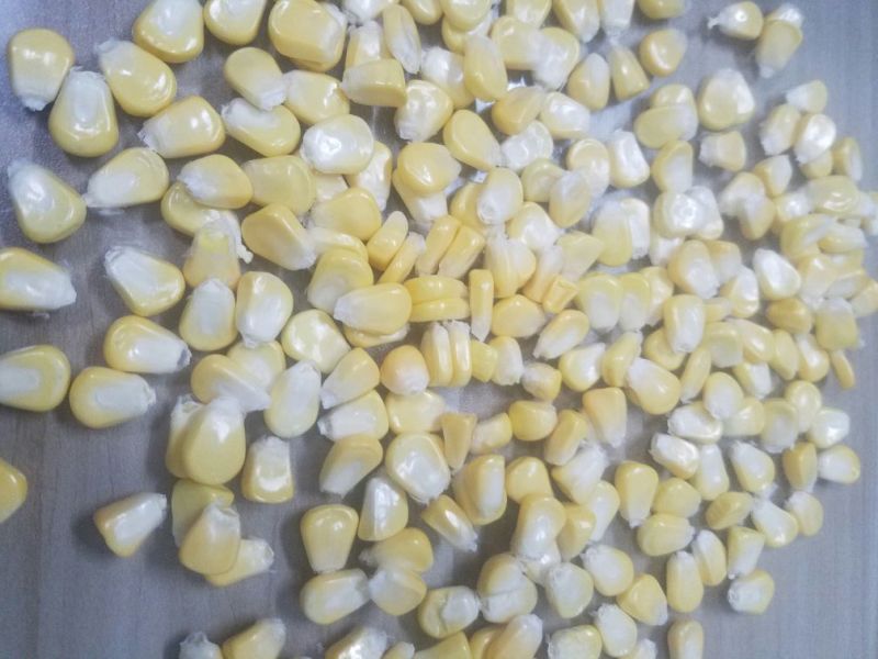 华珍20~30%
