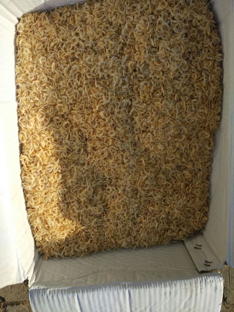 虾皮一级产地直销好吃保质量海虾皮一级质量