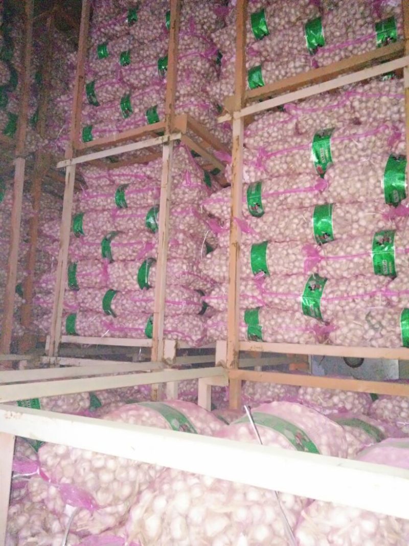 大蒜，金乡大蒜，各种规格型号都有，按客户需求分拣加工，，