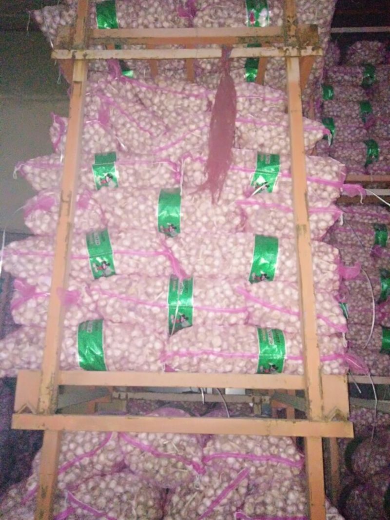 大蒜，金乡大蒜，各种规格型号都有，按客户需求分拣加工，，