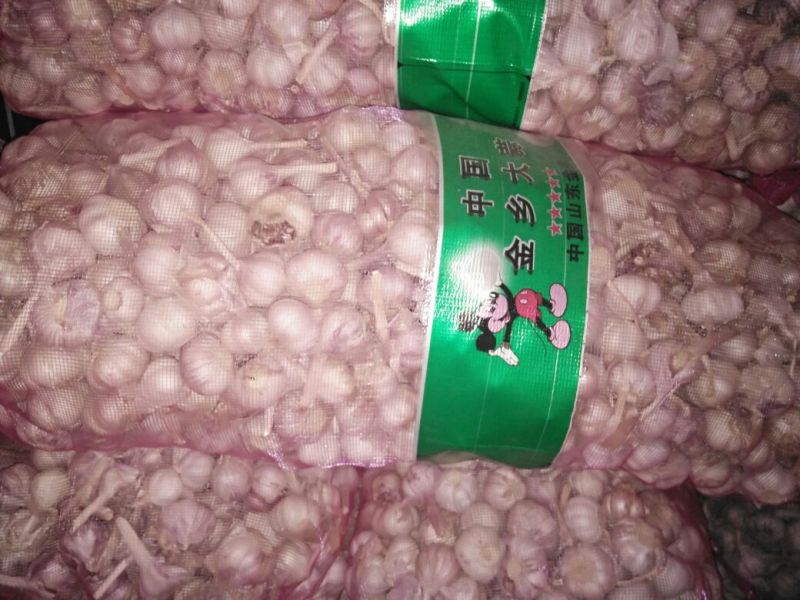 大蒜，金乡大蒜，各种规格型号都有，按客户需求分拣加工，，