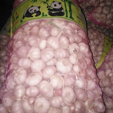 大蒜，金乡大蒜，各种规格型号都有，按客户需求分拣加工，，