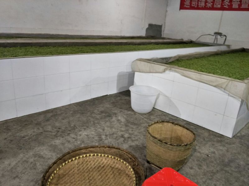 绿茶