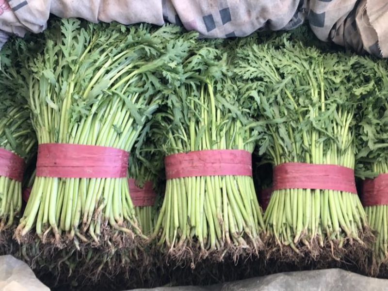 茼蒿