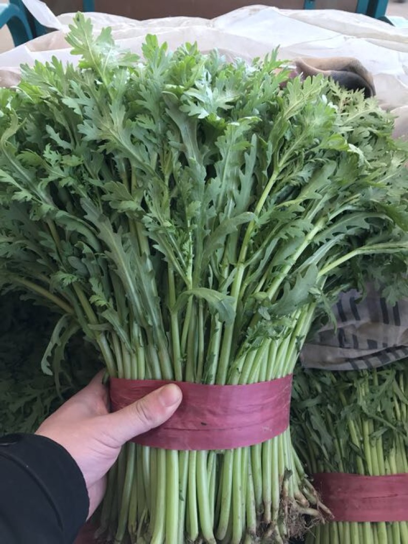茼蒿