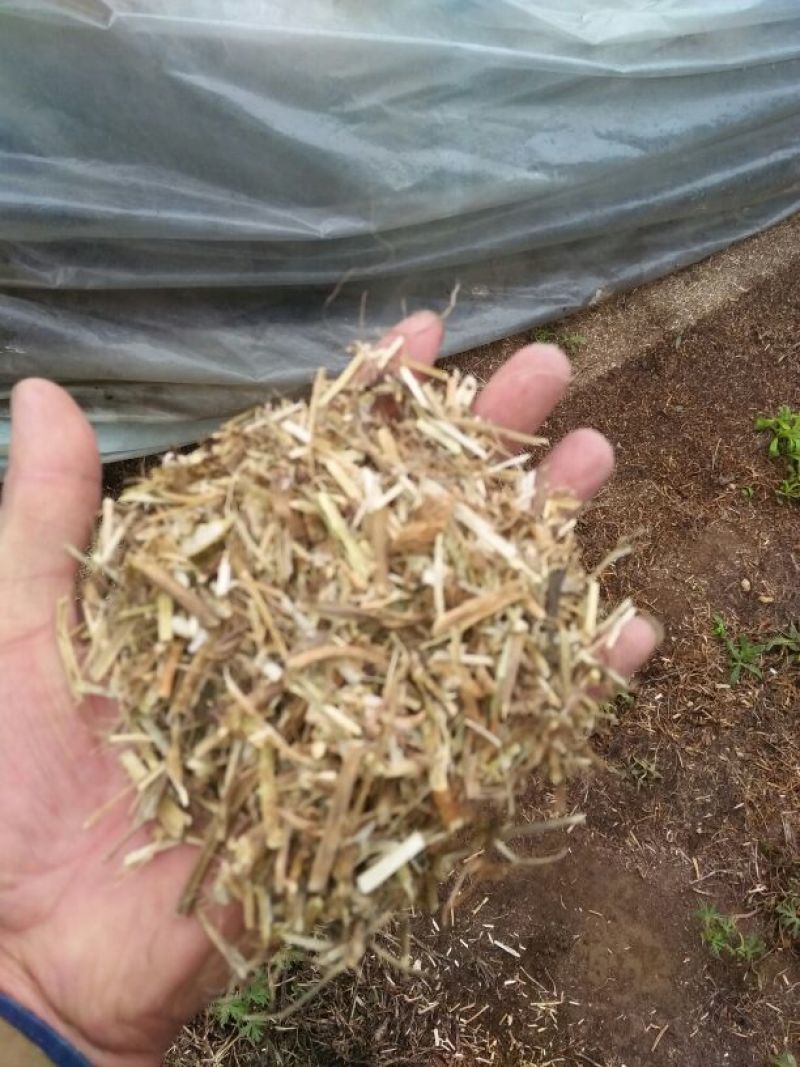 花生糠除膜