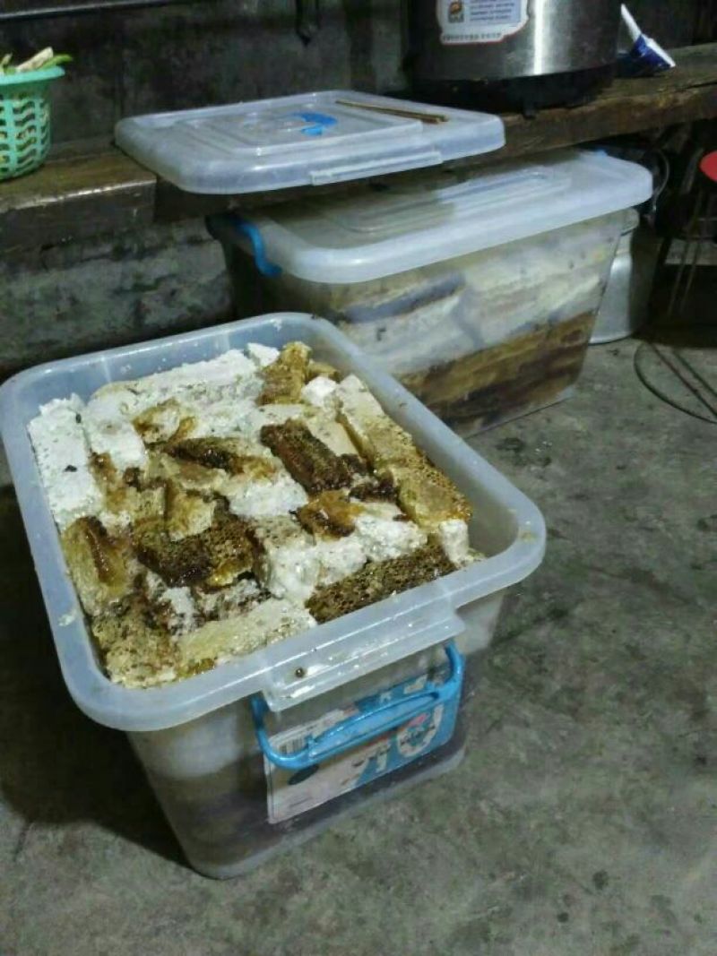 云南野生土蜂蜜蜂蜜
