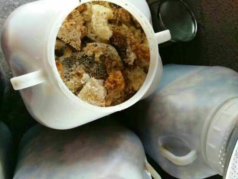 云南野生土蜂蜜蜂蜜