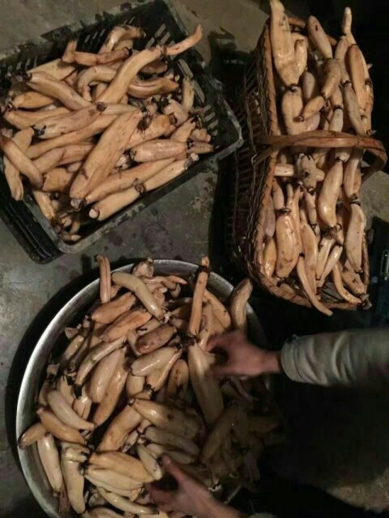 藕粉莲藕粉农家自产自销莲藕粉莲藕粉粉糯细