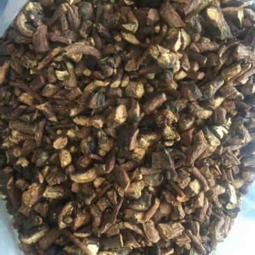 蒲公英茶
