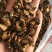 蒲公英茶