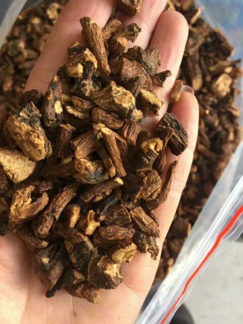 蒲公英茶