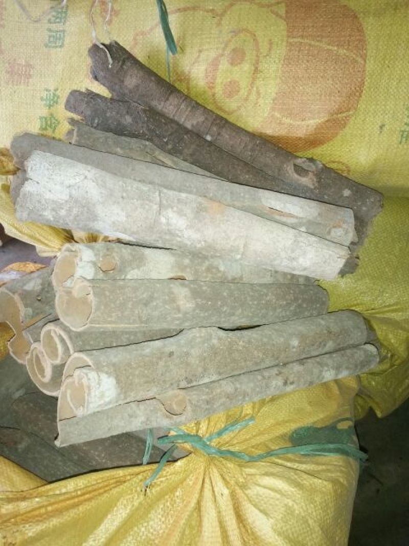 厚肉桂散装统货