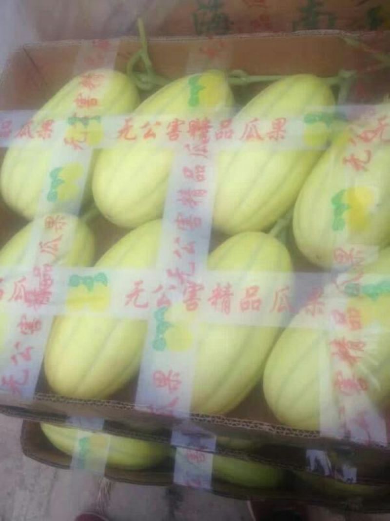 丰田香瓜1斤以上