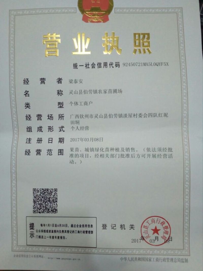 莲雾种苗黑金刚莲雾苗黑糖芭比莲雾苗大叶红莲雾苗
