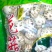 香菇产地，干香菇，花菇，农户直销，各种精选规格香菇
