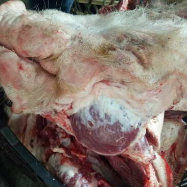 猪头肉散装