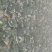 白萝卜1.5~2斤起
