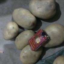 丽薯六号土豆5两以上精品货颜色好看，皮毛亮