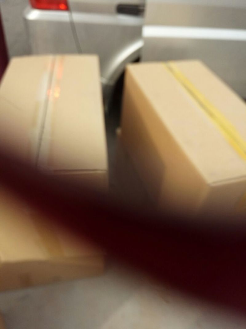 种蛋受精种蛋，红玉种蛋，